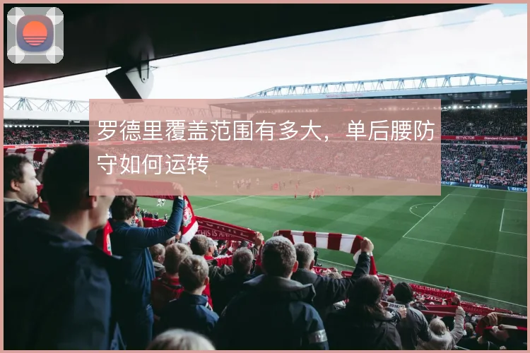 罗德里覆盖范围有多大，单后腰防守如何运转